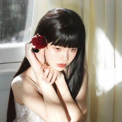 为自由而战海报